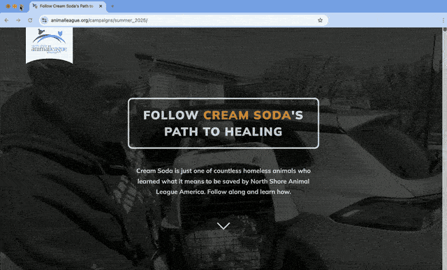 Landing Page for North Shore Animal League project artwork